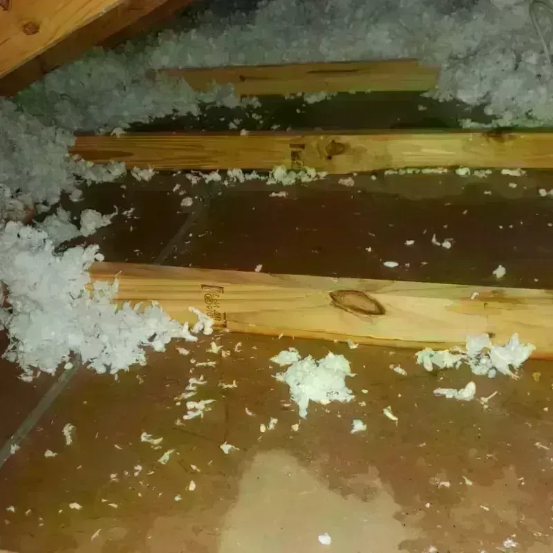 Attic Water Damage in Turner, ME